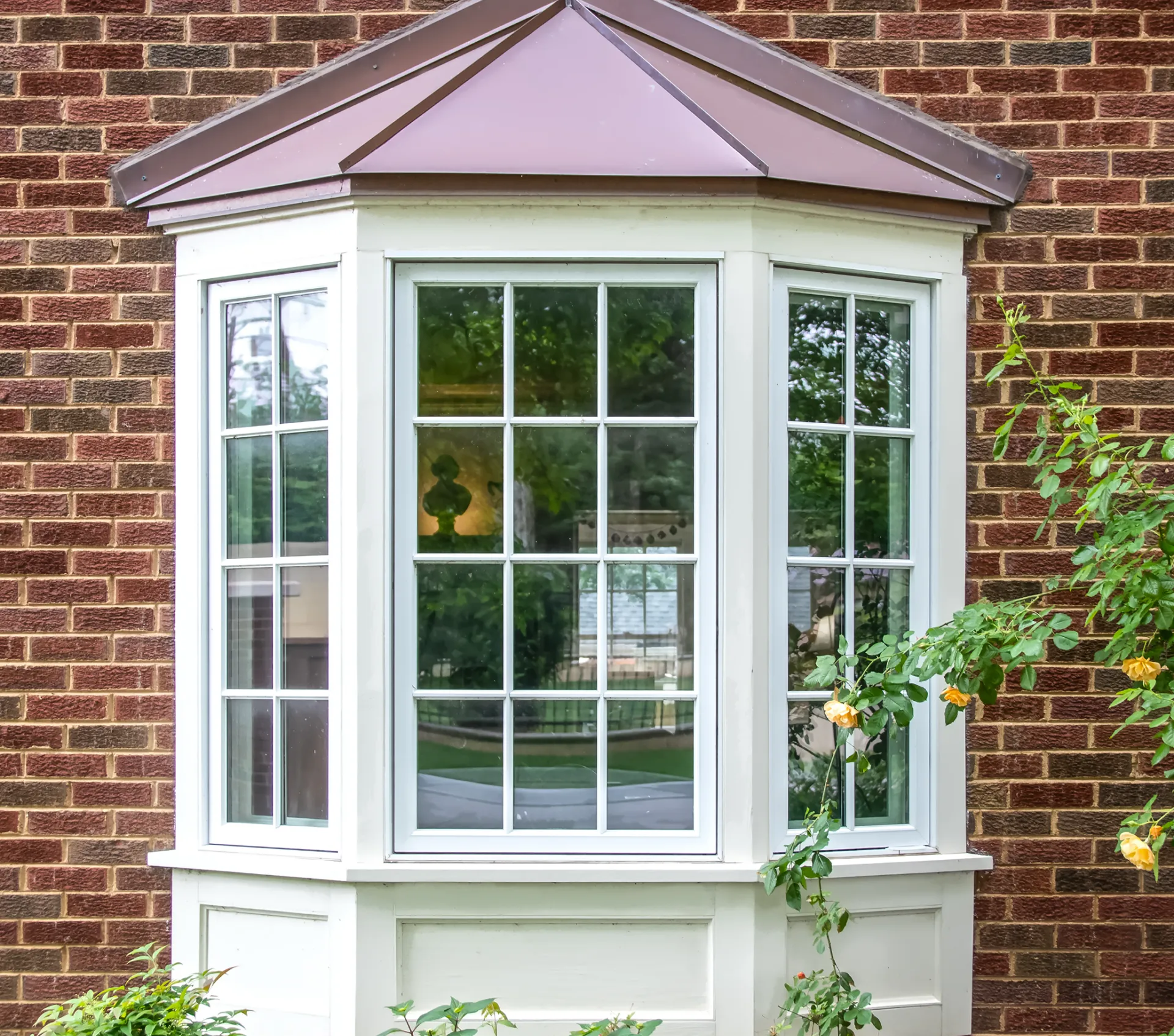 Aquee Saillie Text Image 1