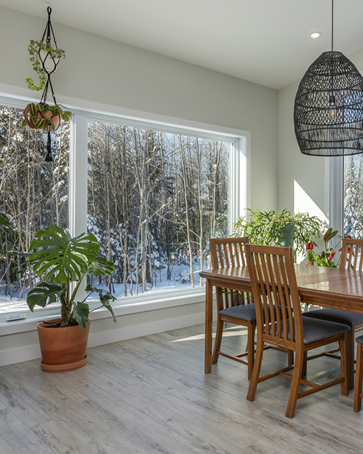 Fenetre Vignette Fixe 1