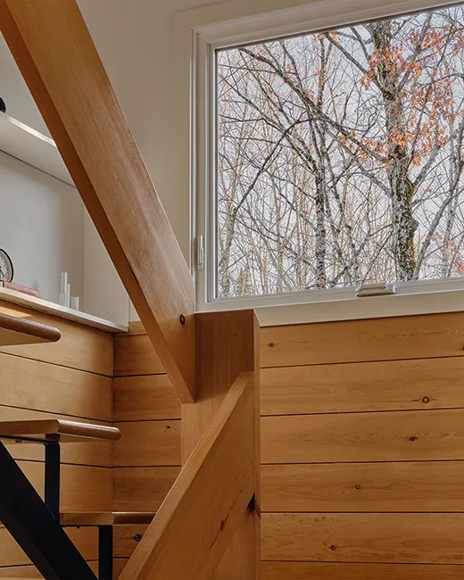 Fenetre Vignette Auvent 1