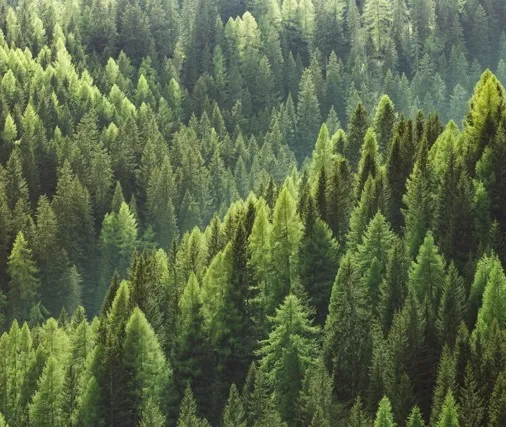 Stock7 1 taille moyenne