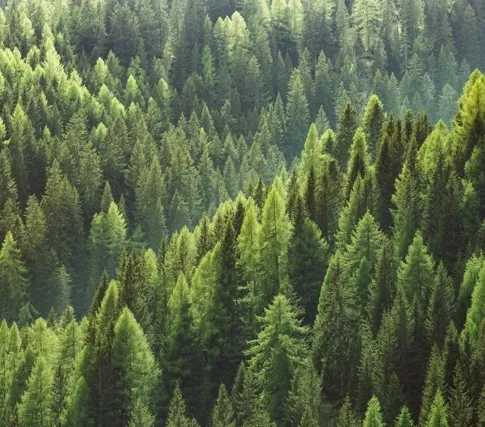 Stock7 1 taille moyenne