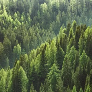 Stock7 1 taille moyenne