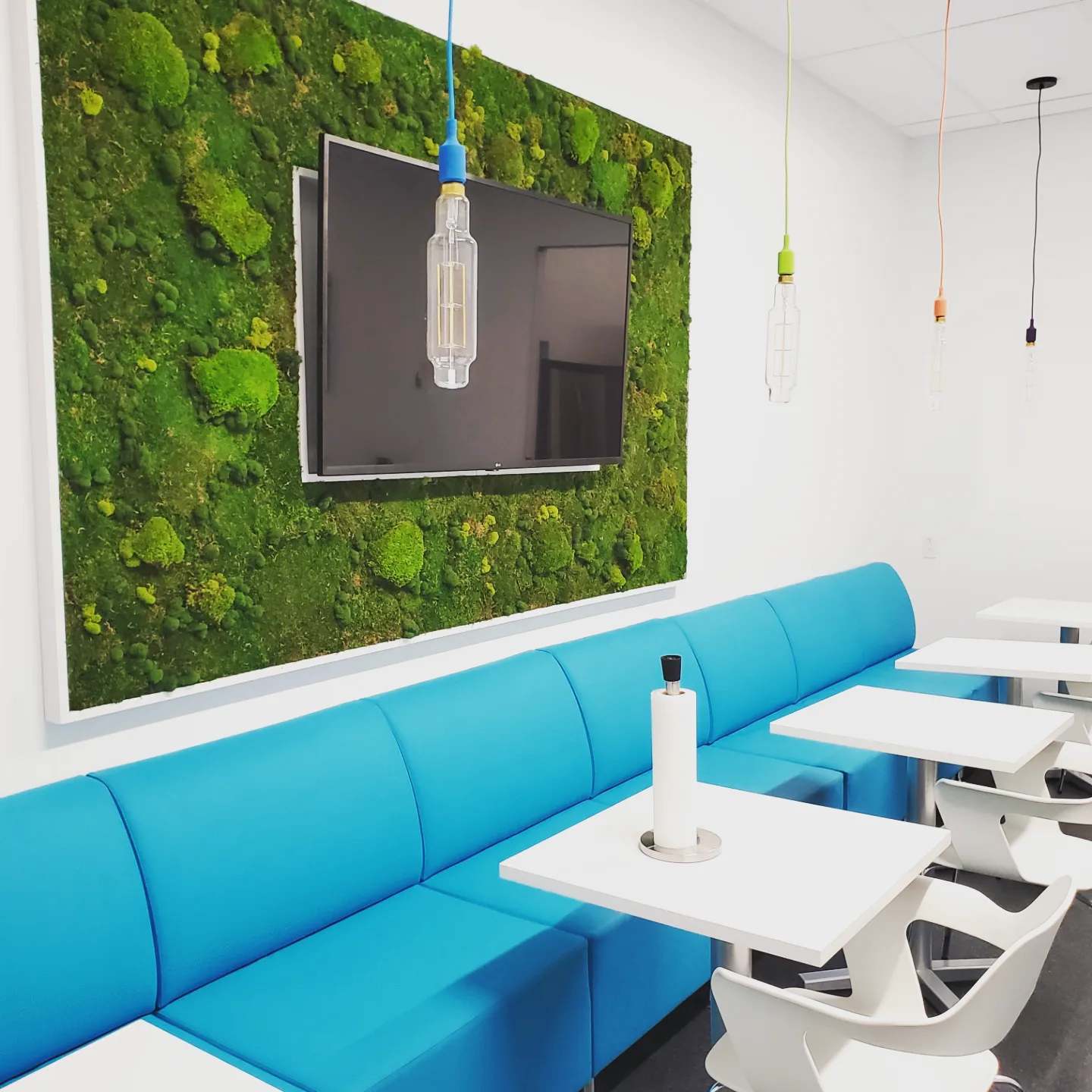 Cadre vegetal entourant une télévision