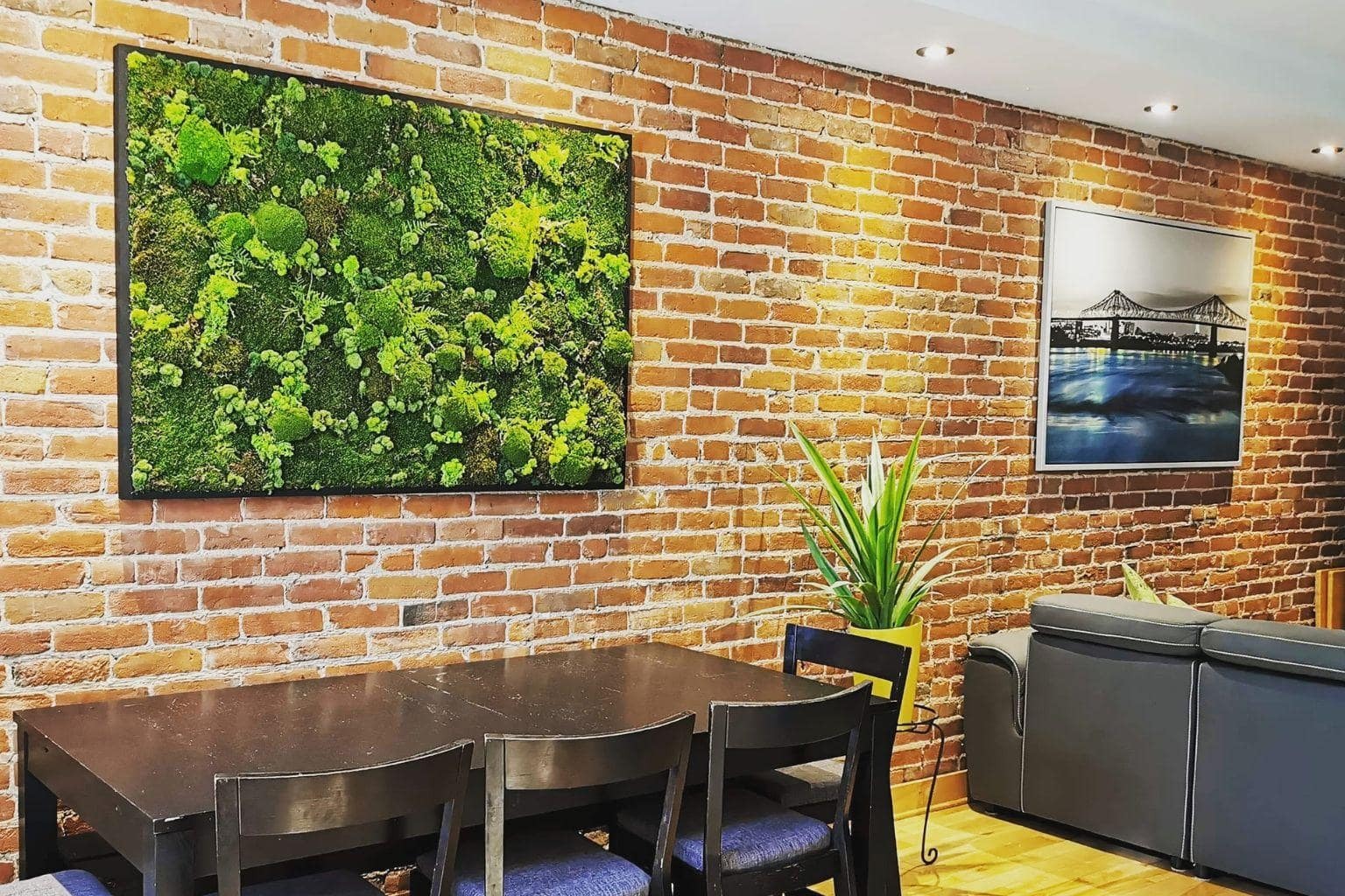 Vue sur un cadre vegetal