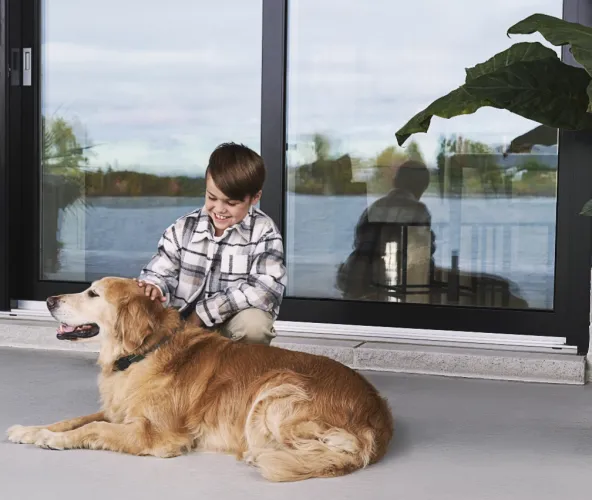 Image d'un enfant et d'un chien