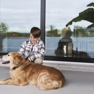 Image d'un enfant et d'un chien